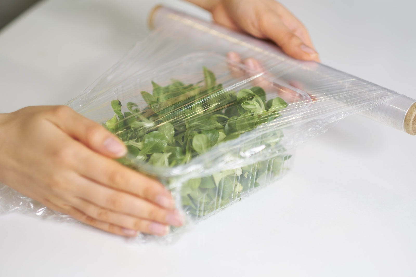 Plastik Wrap